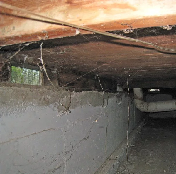 Crawl space under house